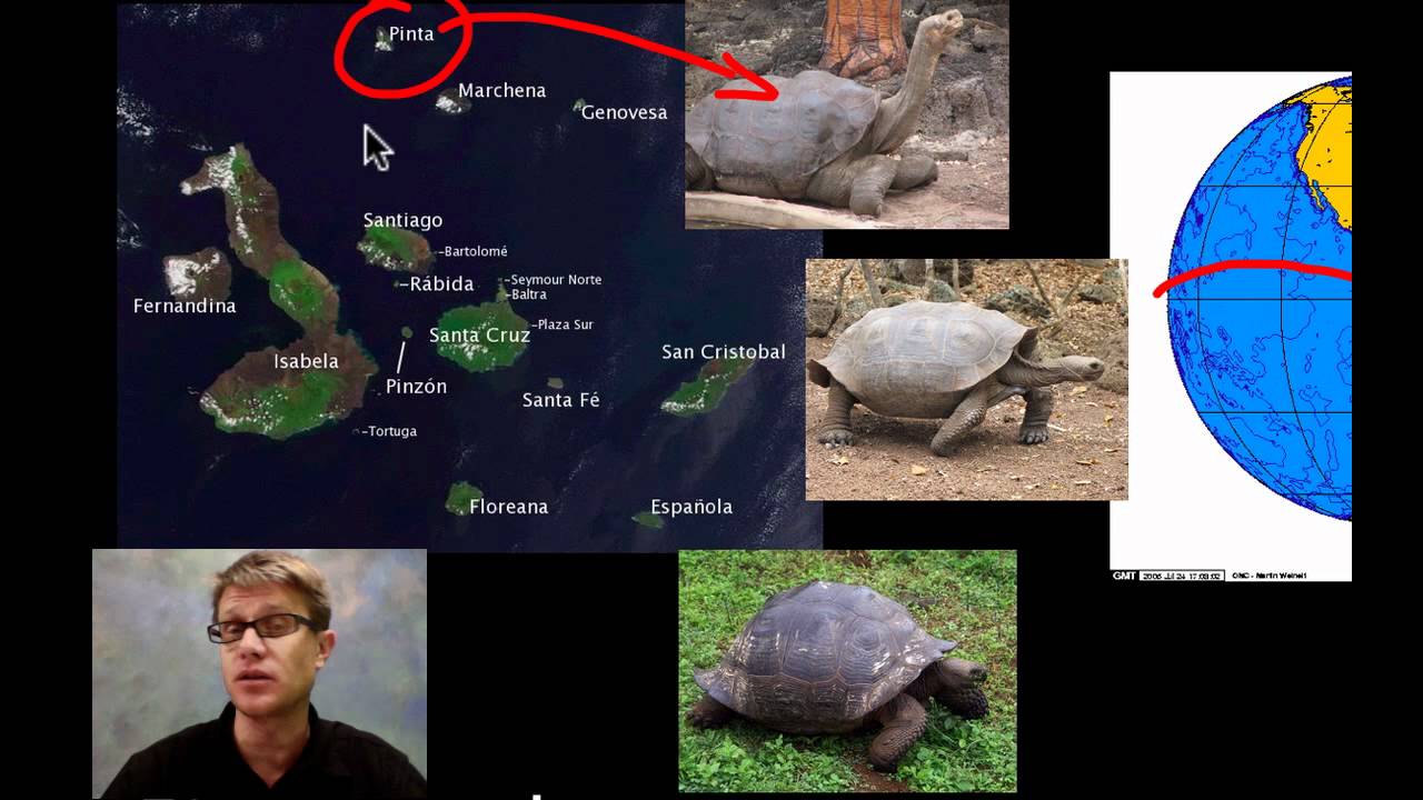 Evidence of Evolution: