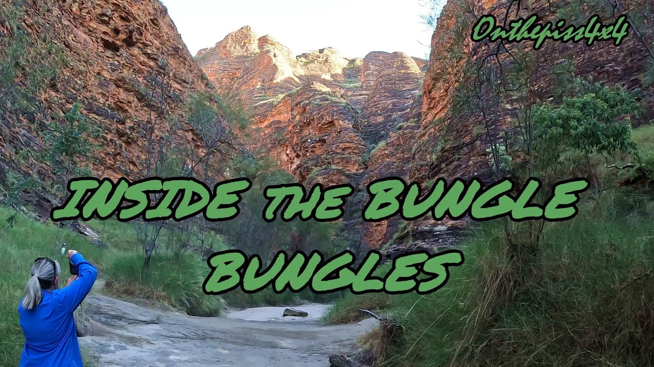 INSIDE the BUNGLE BUNGLES 