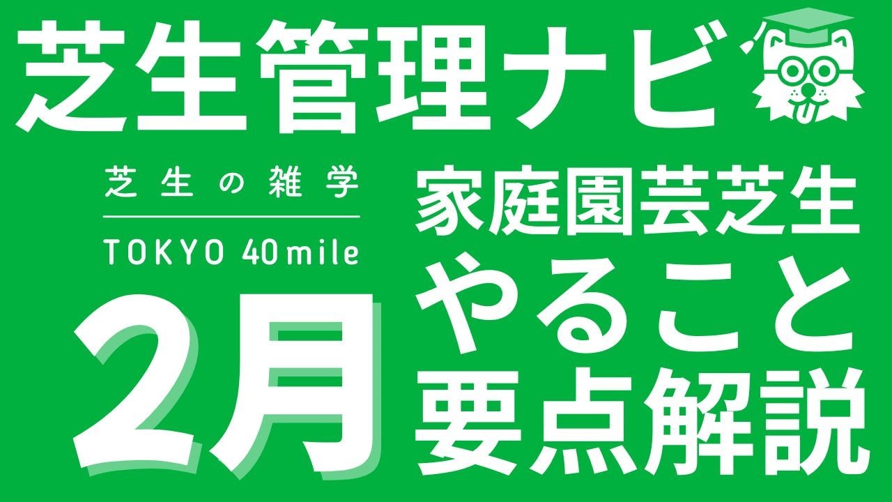 芝生管理ナビ 家庭芝生で２月にやること要点解説