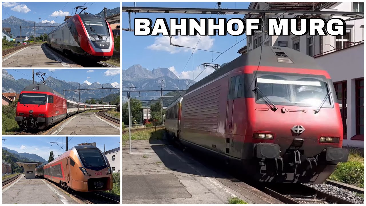 Züge beim Bahnhof Murg | Trains at Murg station (2023)