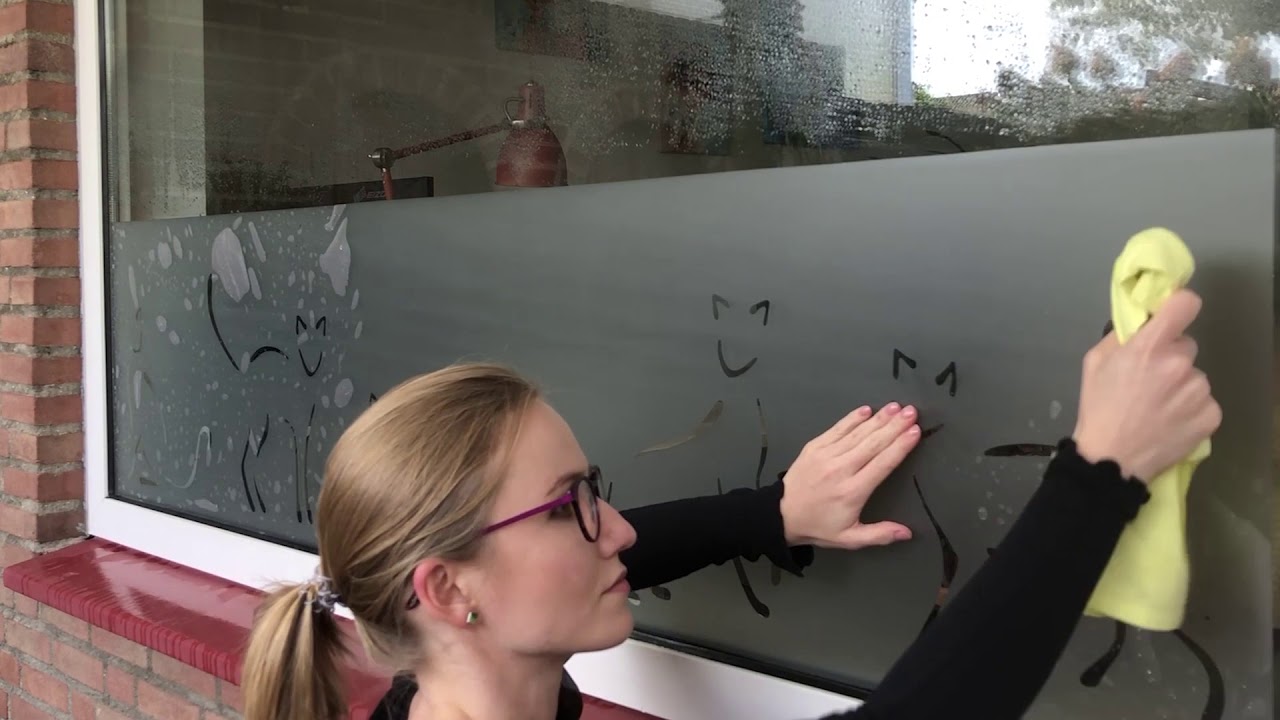 Raamfolie anti inkijk met katten! Hoe breng je statisch raamfolie aan?