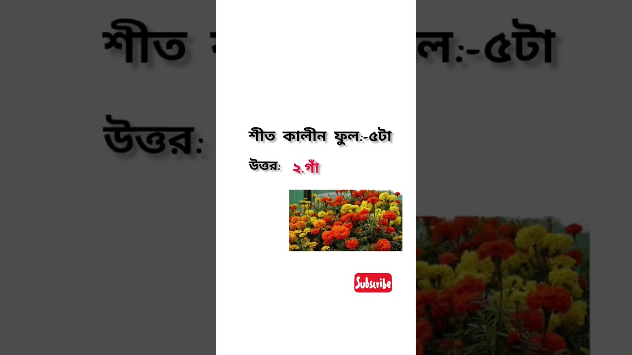 পাঁচটা শীত কালীন ফুল/#shorts #education #video