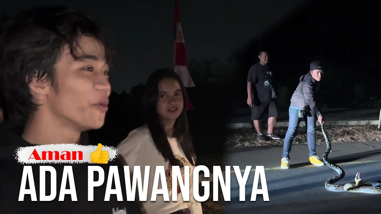 WAHH..PAPI JADI PENAKLUK ULAR | kalau AFAN JADI PENAKLUK.....??