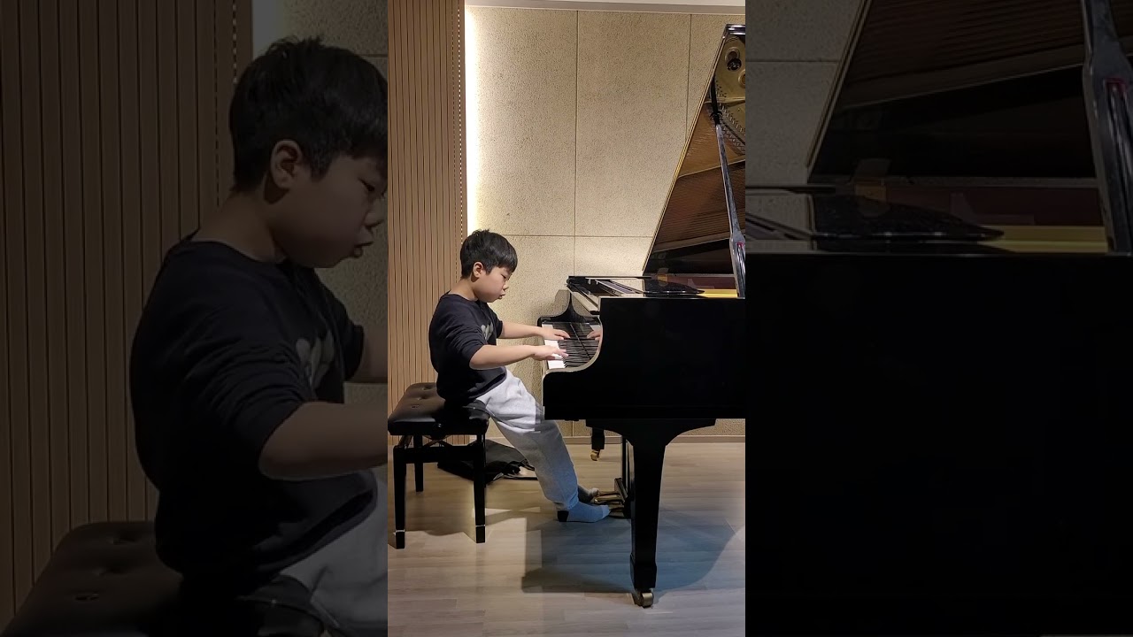 Franz Schubert _ IMPROMPTU op.90 no.2