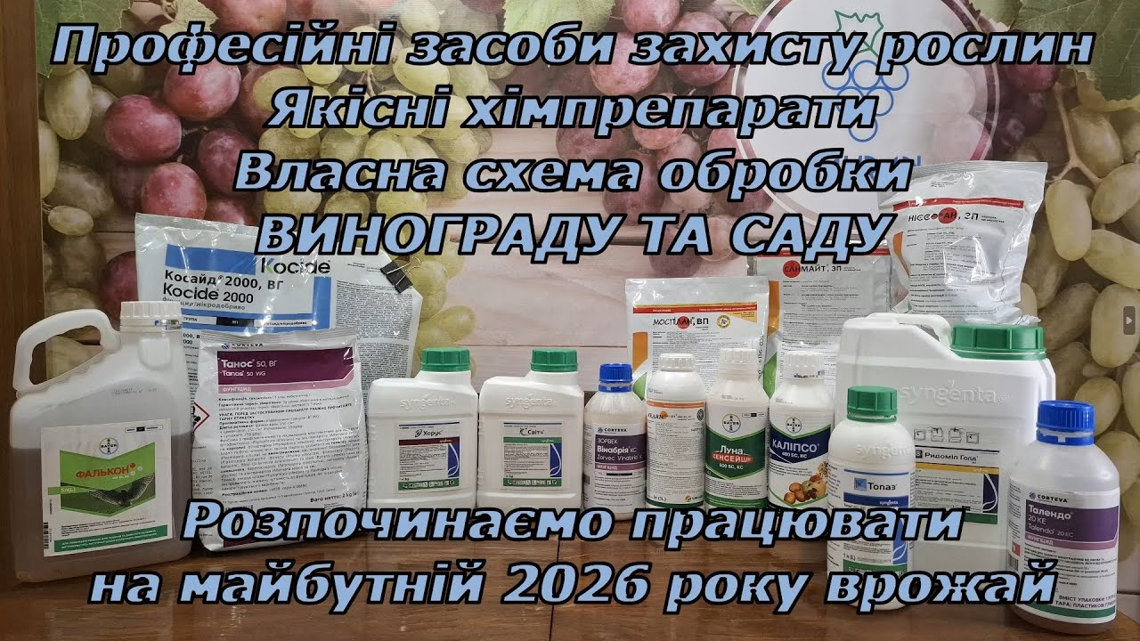 Захистіть свій майбутній врожай винограду професійними засобами захисту