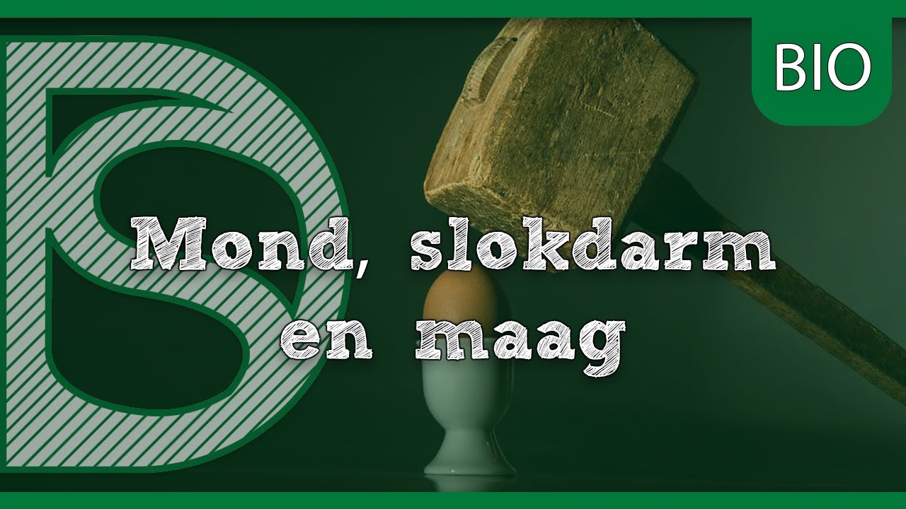 Examen biologie - Mond, slokdarm en maag (Stofwisseling mensen)