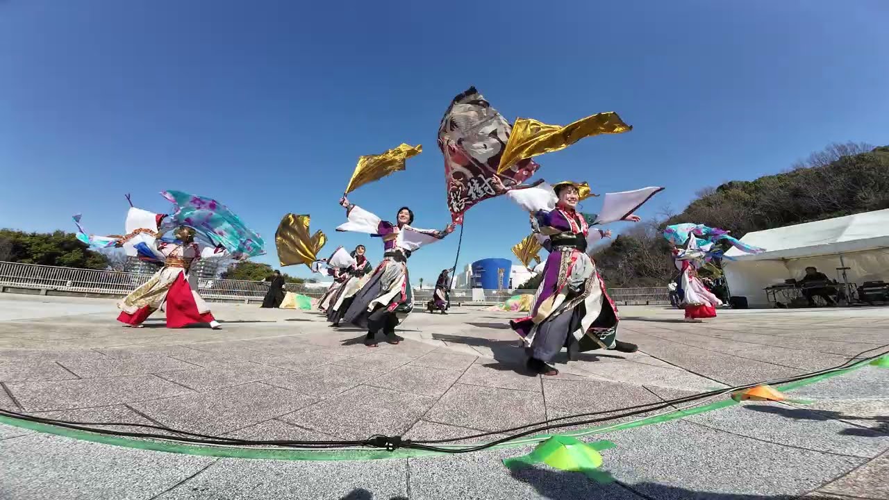 25 吉祥桜樹 堺よさこいかえる祭り2026［４Ｋ］wide