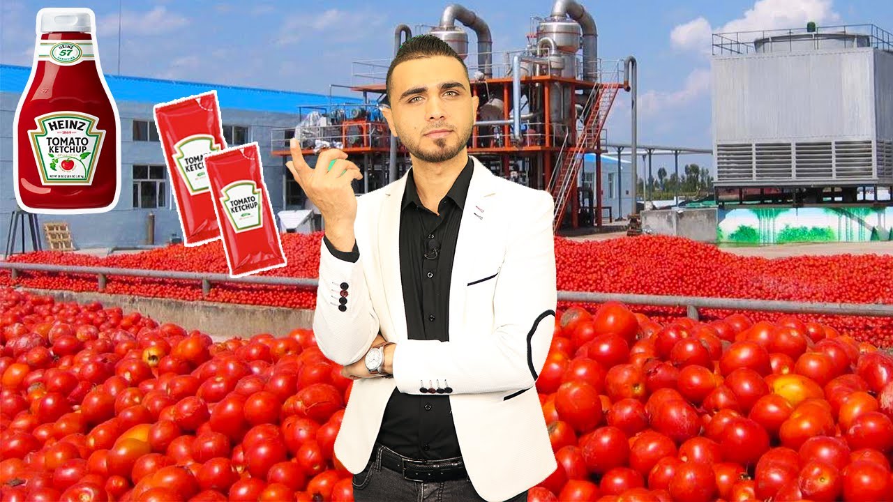 جولة في مصانع الكاتشب والمايونيز😱