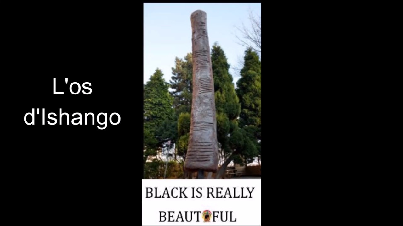 L'os d'Ishango, l'objet math&eacute;matique le plus ancien