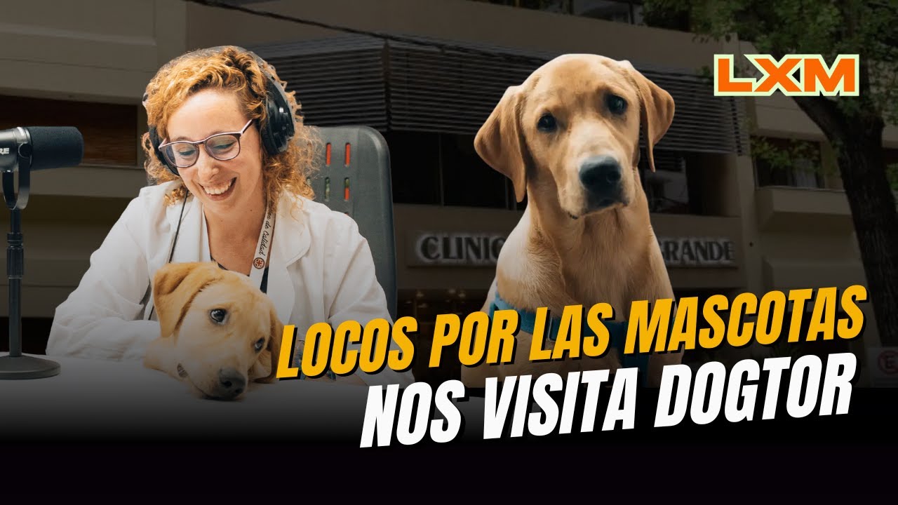 NOS VISITA DOGTOR EN LOCOS POR LAS MASCOTAS | Acompañado de Brenda Duperré