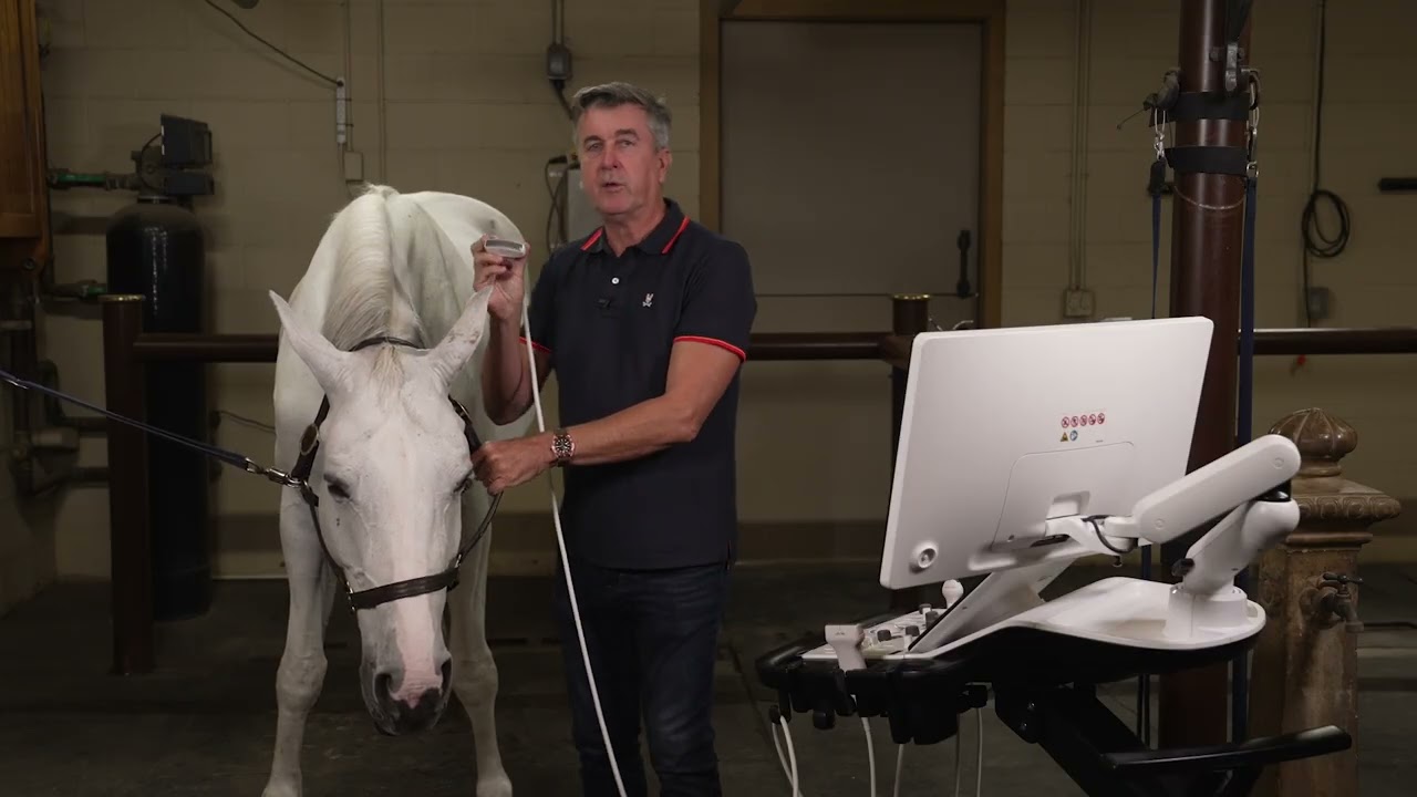 Samsung Equine Ultrasound Demo w/ Dr Benoit