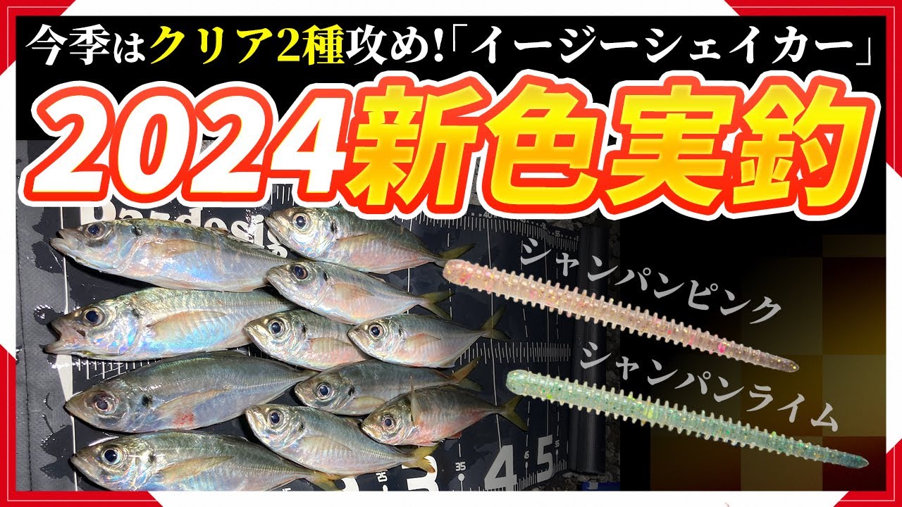 【アジング】今年はクリア系!新色イージーシェイカーでしっかり釣果出ました♡【淡路島】