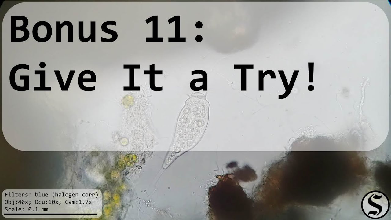 Bonus 11 - Give It a Try!