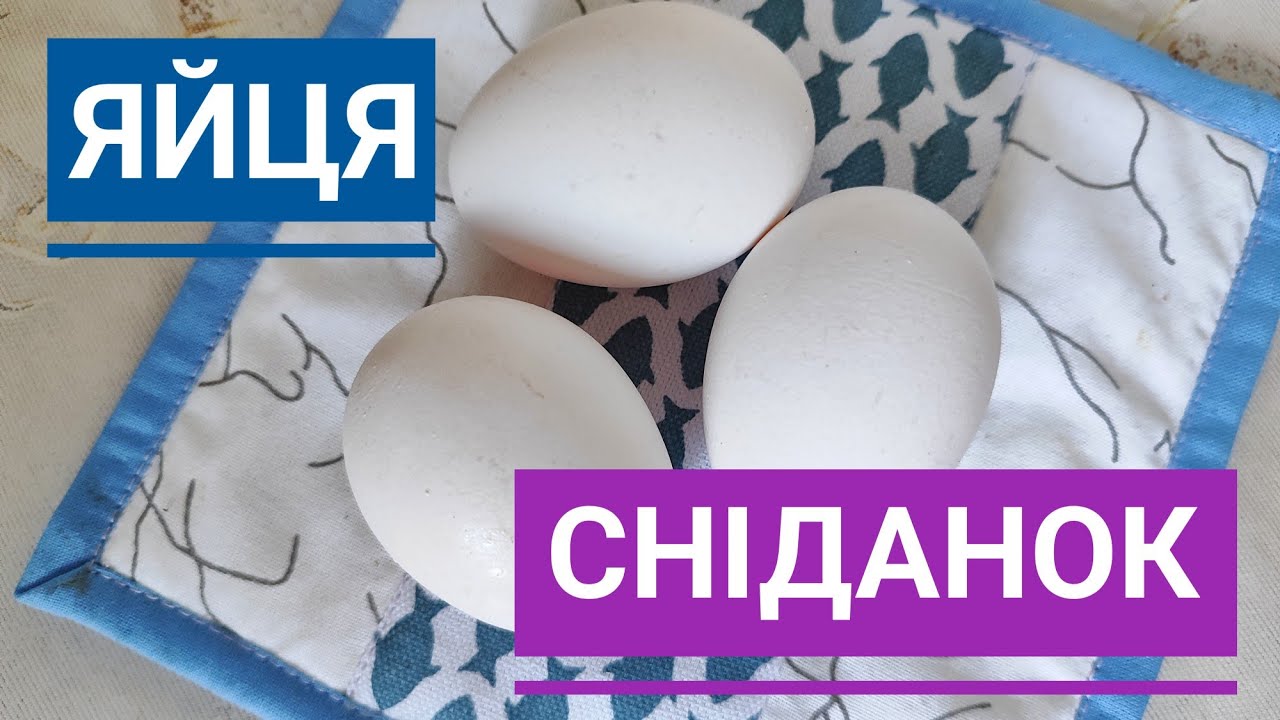 П'ЯТЬ простих і смачних СНІДАНКІВ з курячих ЯЄЦЬ...