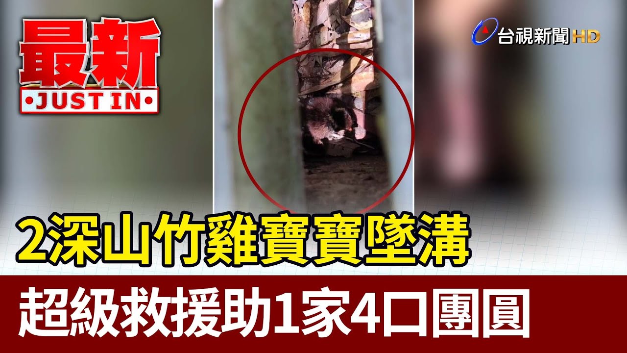 2深山竹雞寶寶墜溝 超級救援助1家4口團圓【最新快訊】