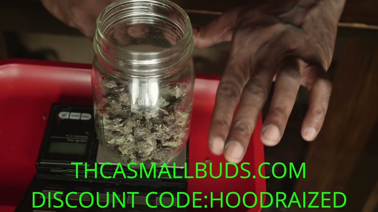 How I feel about TROPICANA CHERRY flower strain THCA SMALL BUDS