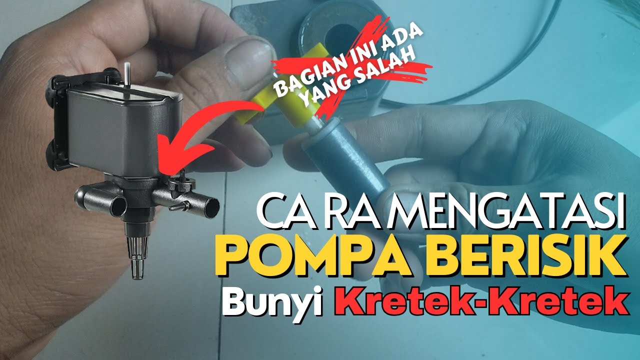 Pompa Aquarium Berisik bunyi Kletek-kletek||Begini Cara Benerinnya