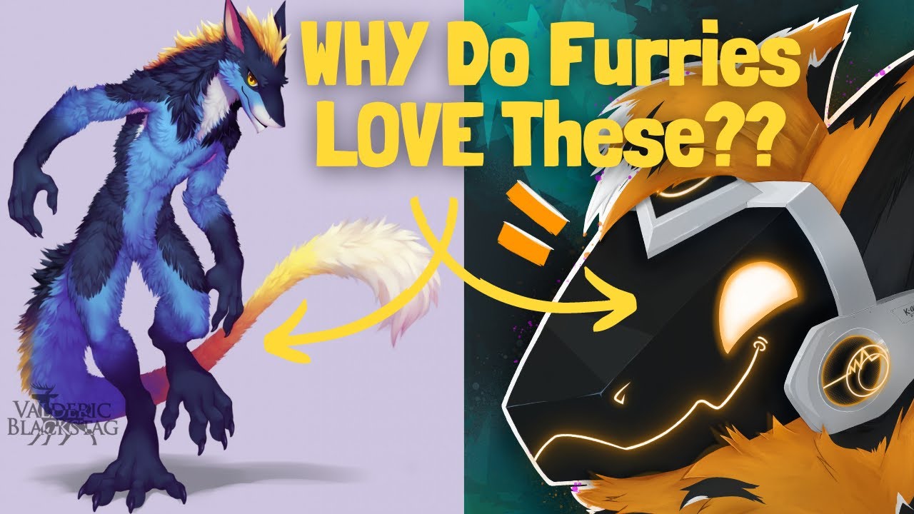 Why Do Furries Have THEIR OWN SPECIES?
