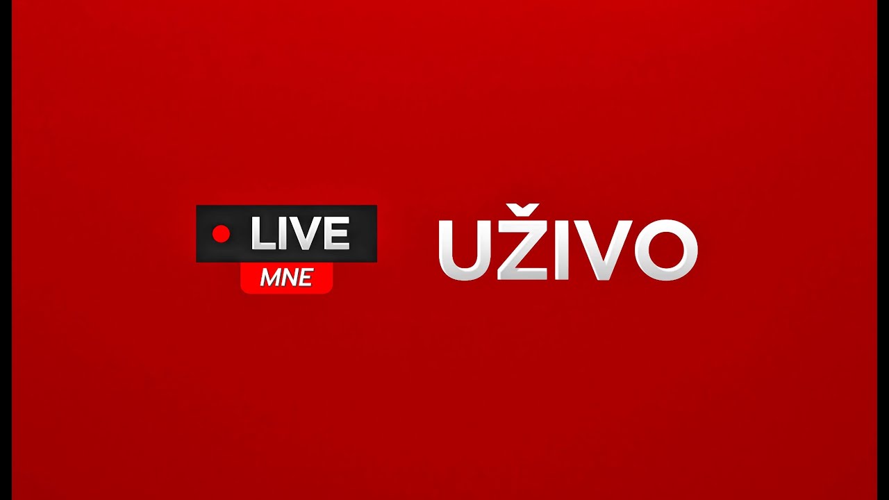 Ustavni sud Crne Gore &ndash; Javna rasprava o Zakonu o potvrđivanju Sporazuma sa UAE LIVE MNE UŽIVO
