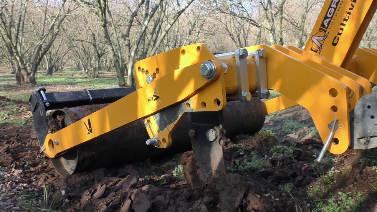 Nocciolo | Decompattatore | Agrisem Cultivigne | Massey ferguson 3660 F Xtra