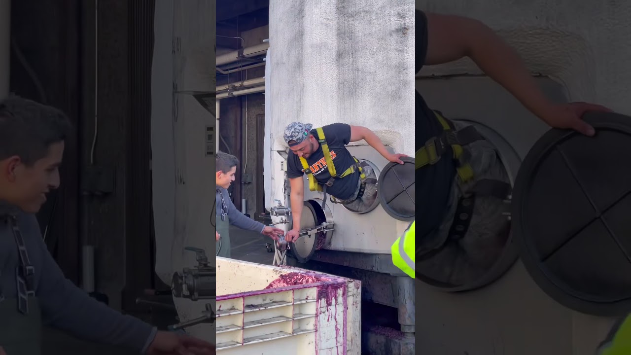 Виноделие за кулисами