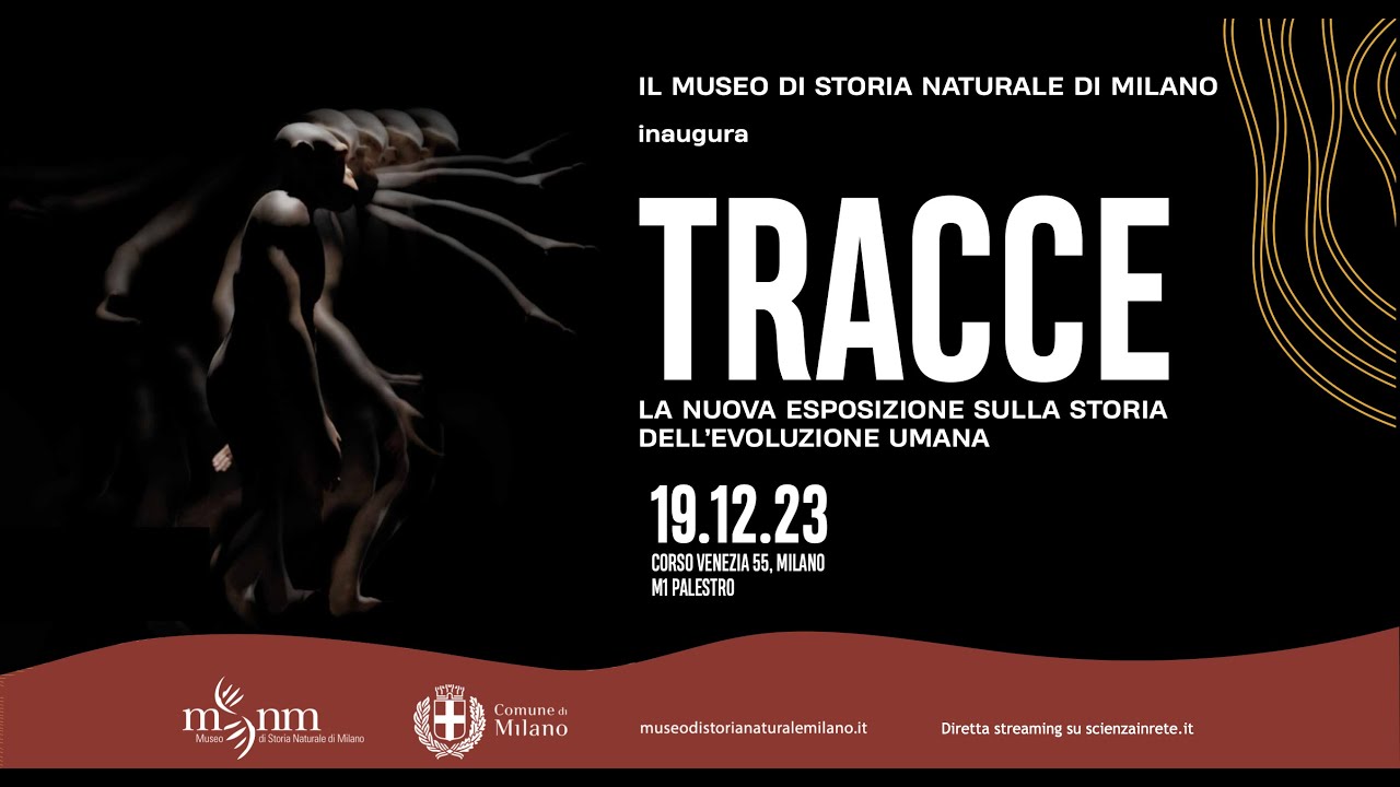 Tracce, la nuova esposizione sulla evoluzione umana al Museo di storia naturale di Milano (h 10)