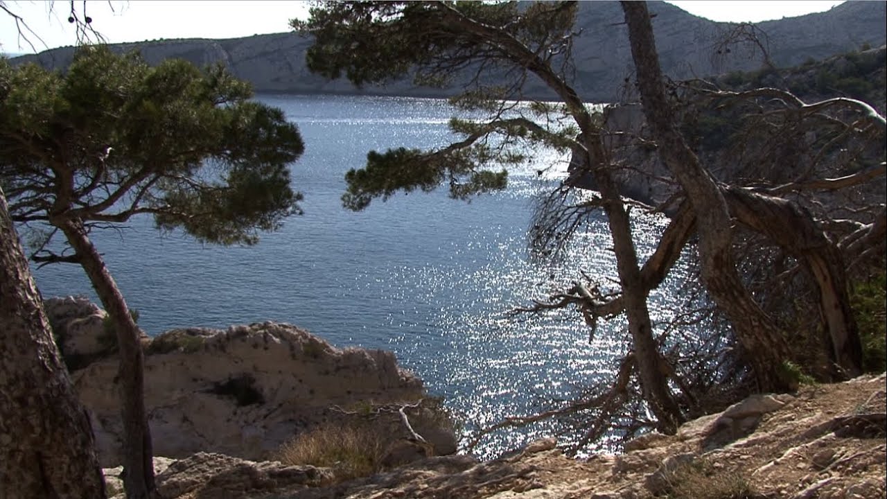 Balade à la calanque de Sugiton - Provence
