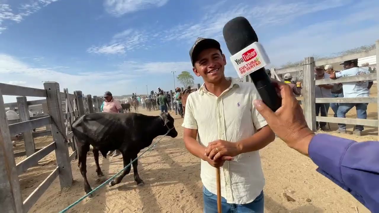 Feira de Gado em Dois Riachos - AL 21 - 01 - 2026 #nordeste
