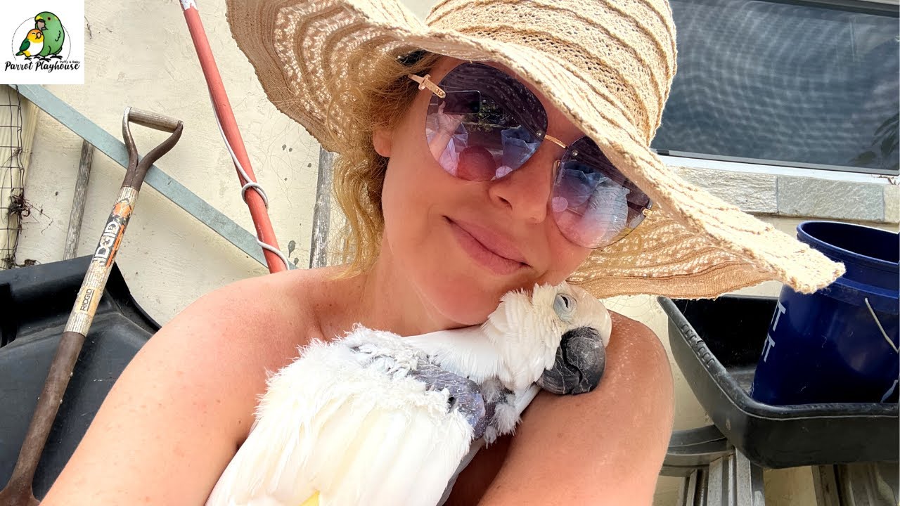 I'm Cherishing Every Moment I Have With Victoria Cockatoo | Procedure Update