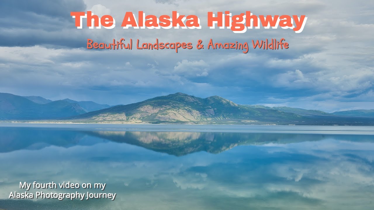 Photographing landscapes and wildlife on the Alaska Photography Journey