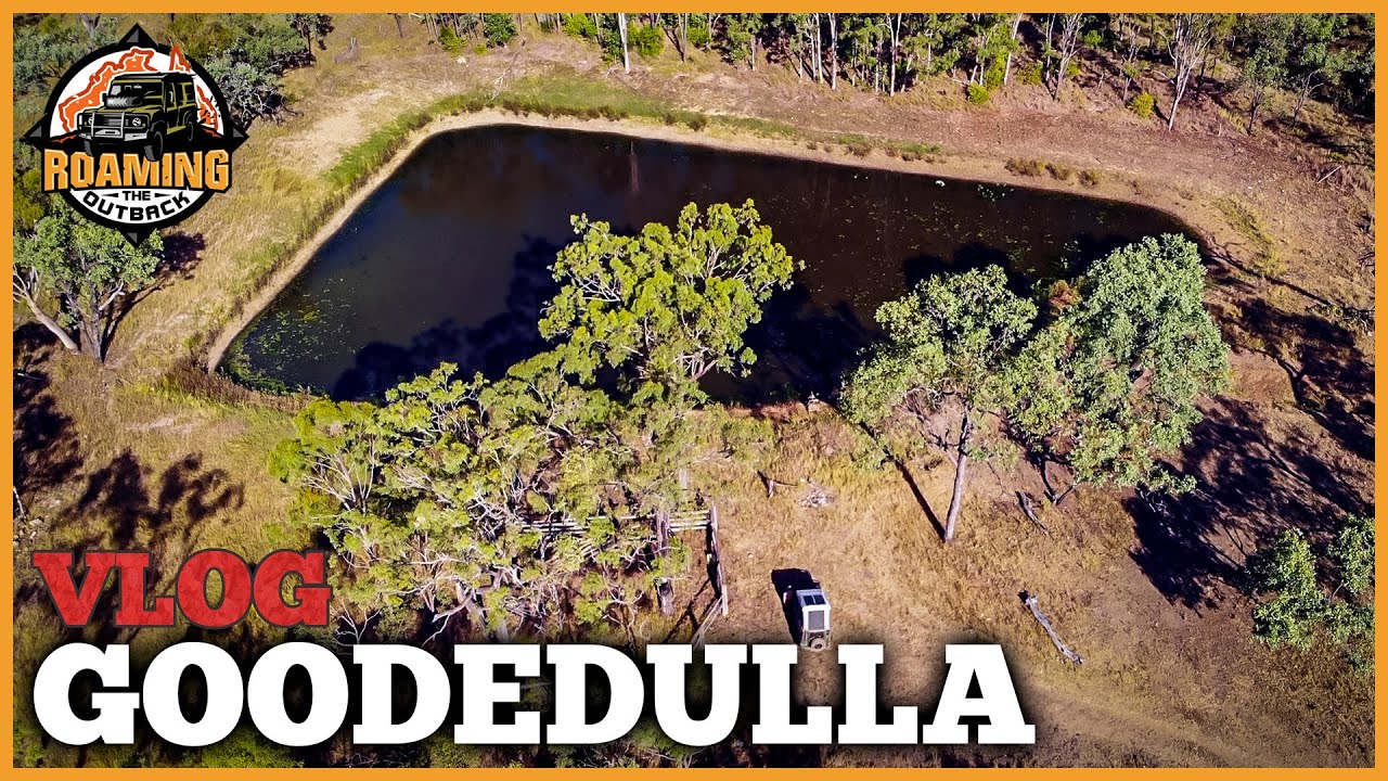 A 7 Day Escape. Camping, Exploring and Searching for Wildlife in Goodedulla 1/2