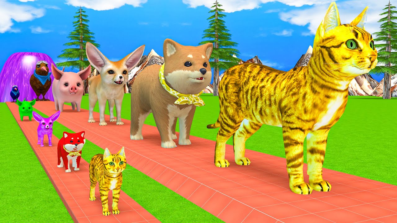 Long Slide Game With Elephant Gorilla Buffalo Hippopotamus Tiger 3d Animal Game Funny 3d Animals