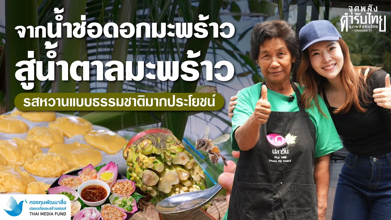 สื่อสร้างสรรค์ EP.4 | พารู้จัก น้ำตาลมะพร้าว ฟาร์มปลาวัน Farm to Table จังหวัดสมุทรสาคร