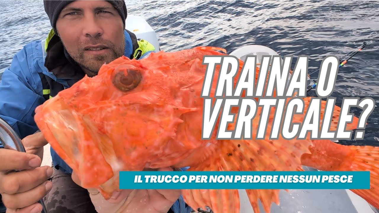 Una giornata sfortunata!