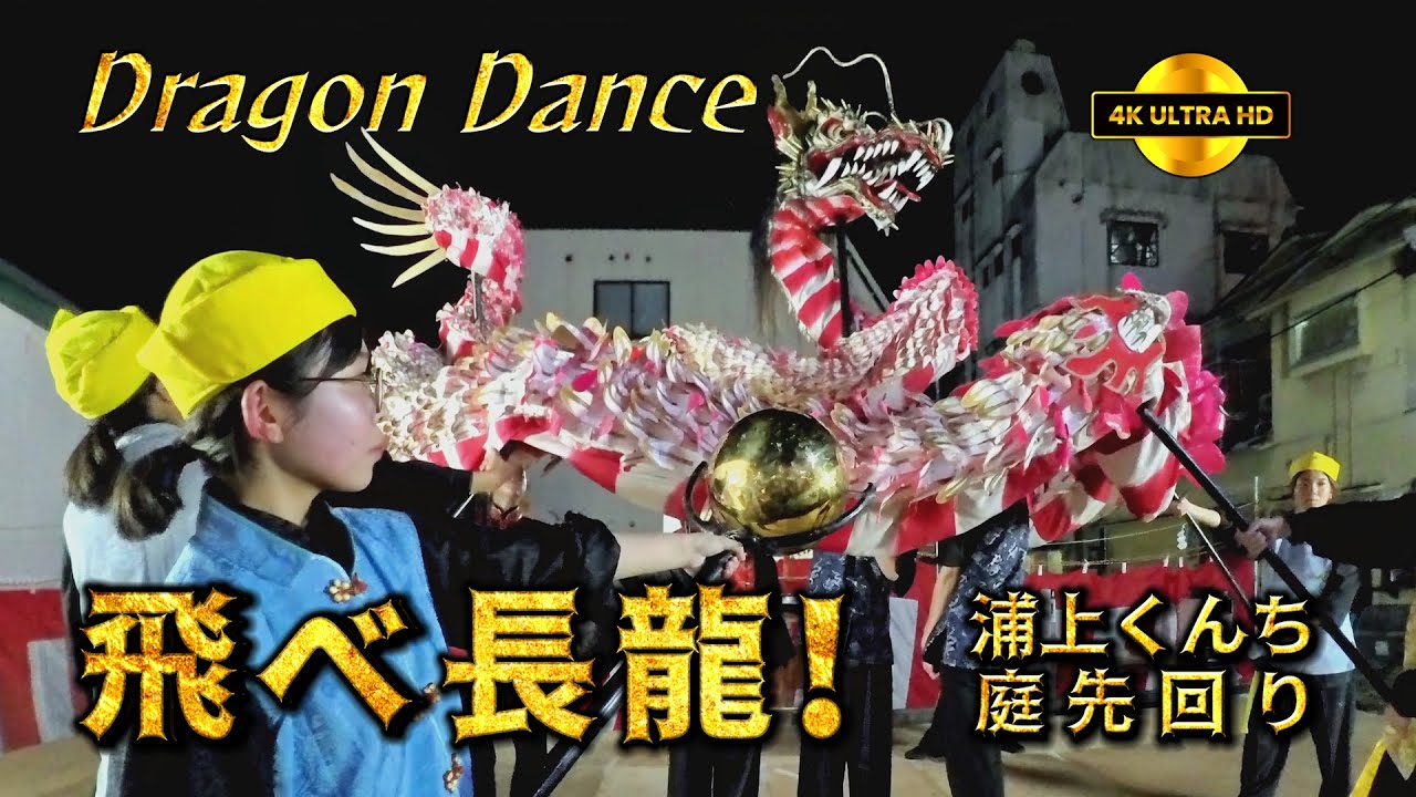 【4K】🐲飛べ長龍🐉 浦上くんち『龍踊』庭先回り　#山王神社　#お旅所　#庭先回り　#奉納踊　#龍踊　#長崎大学龍踊部　#長龍　#とみた時計店　#カフェひいらぎ　#鮨割烹さくらい　#長崎市