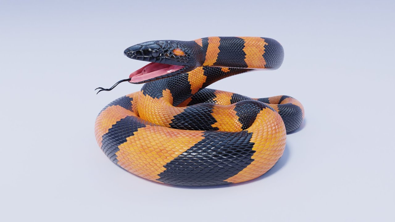 Animated Game Ready Bismarck Ringed Python 3D model