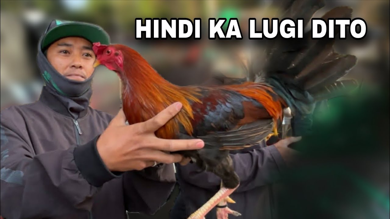 Bentahan ng manok tuwing sabado dito sa lipa batangas 