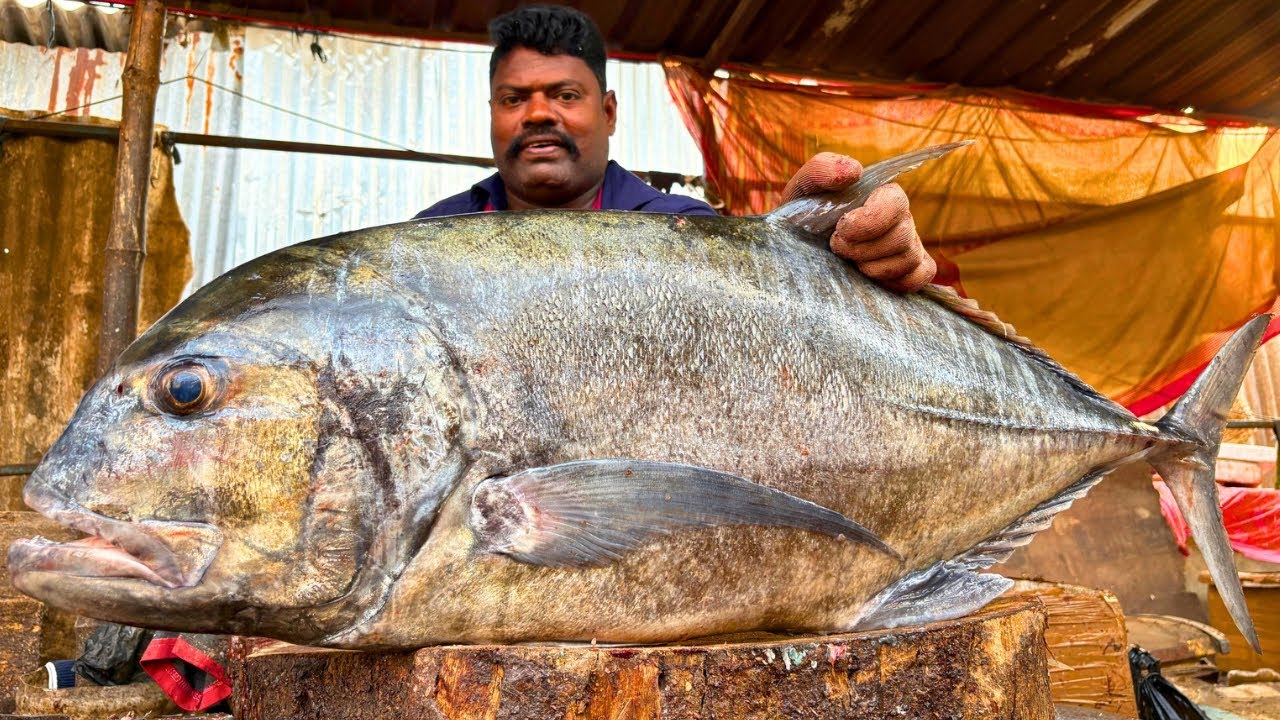 KASIMEDU SPEED SELVAM TREVALLY FISH 🐟 CUTTING VIDEO \ CUTTING FOCUS
