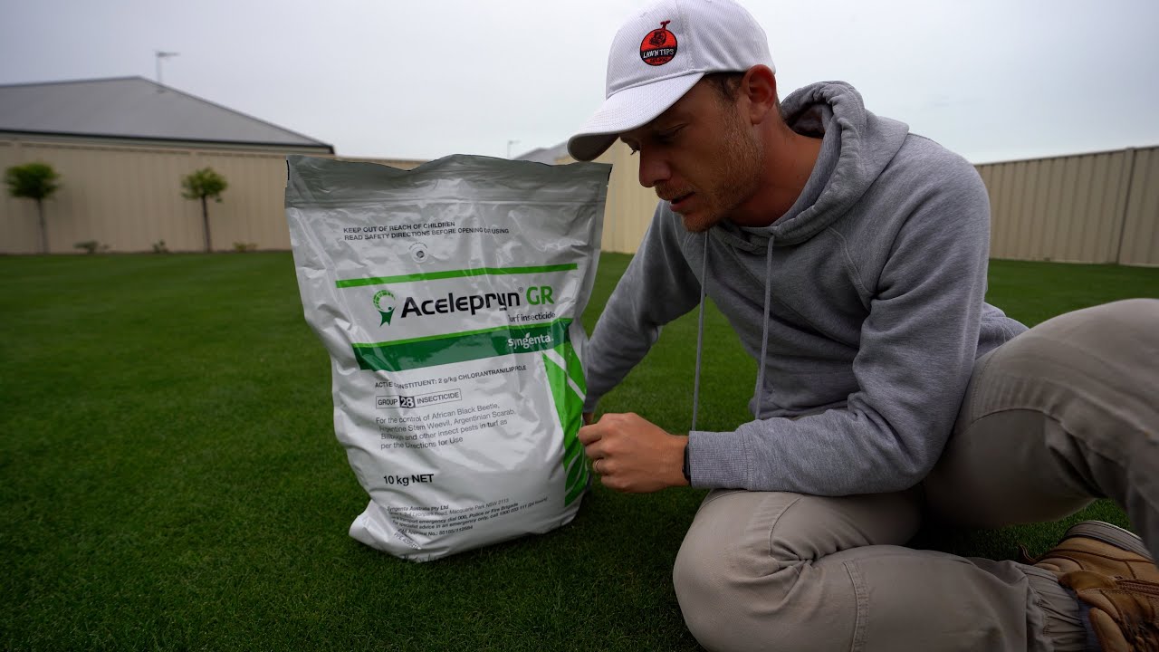 The Best Insect Control For Your Lawn // Acelepryn GR