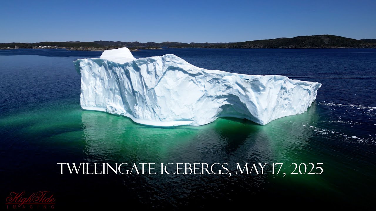 Icebergs Near Twillingate, Newfoundland and Labrador, May 17, 2025