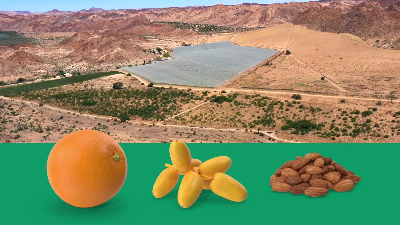 Onderstepoort Farm for Sale