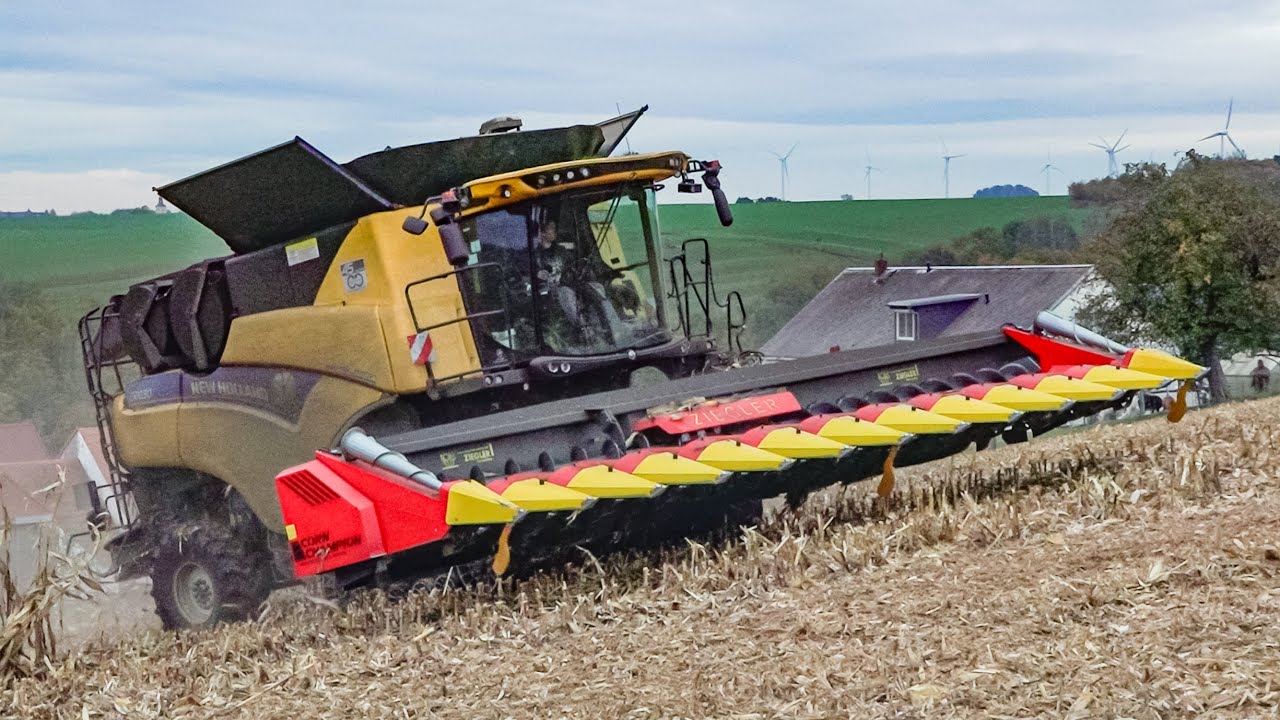 New Holland CR 10.90 + T7.315 HD bei der Maisernte 2023 / Corn Harvest  23