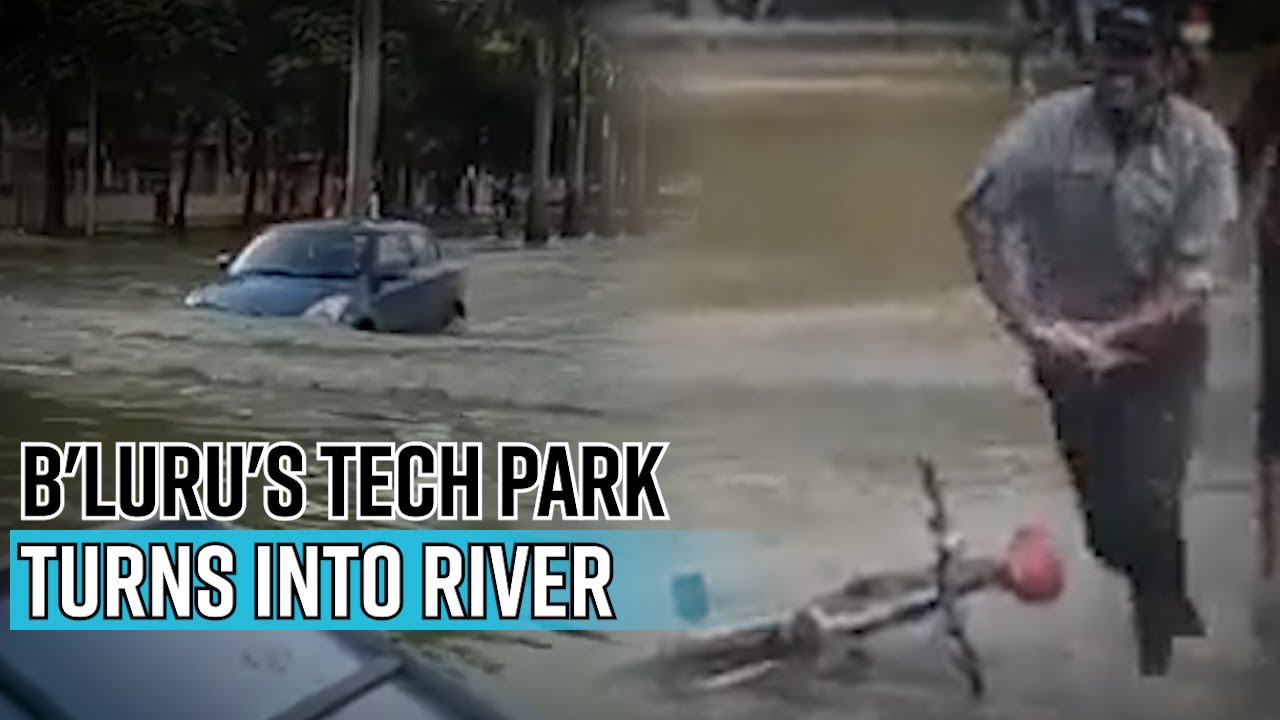 B'luru's tech park turns into river; people go fishing with sticks, buckets, nets [watch]