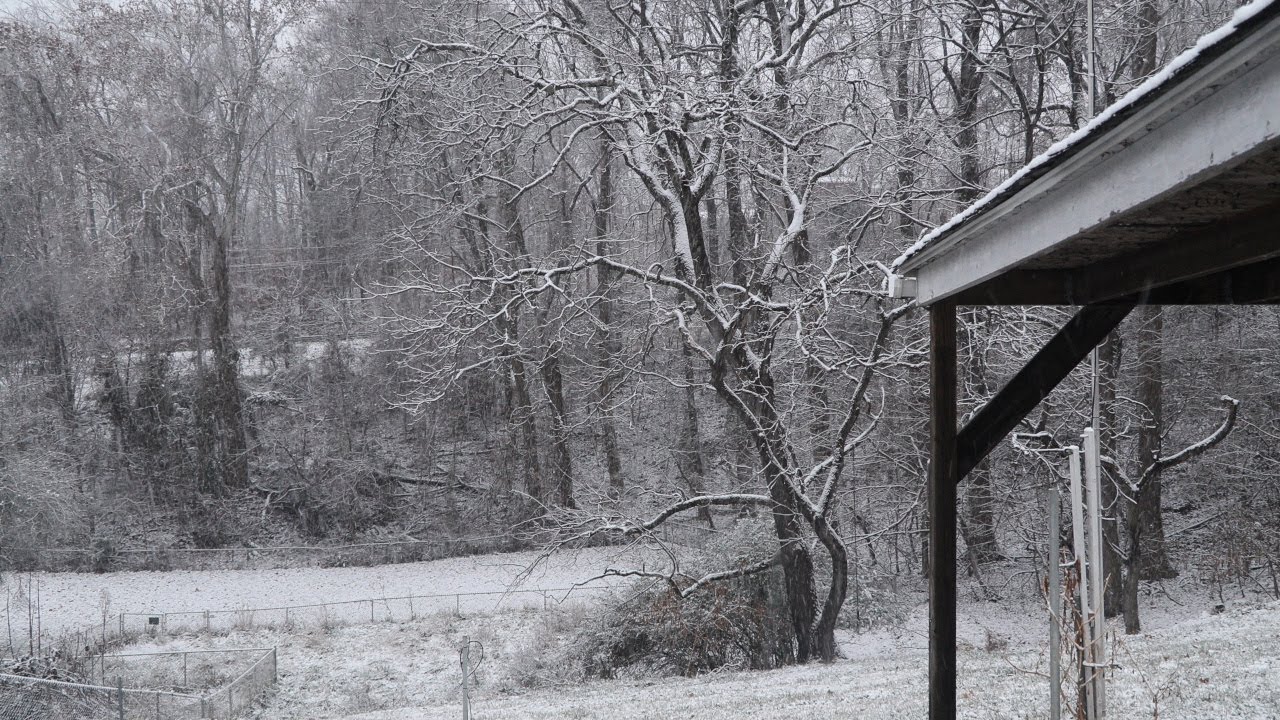 Snowfall -- Ambient Weather Soundtrack Alt 4K