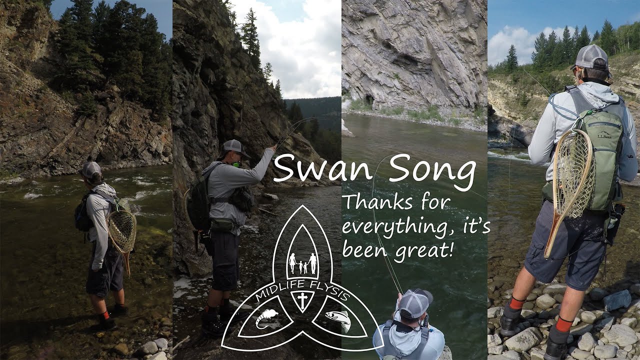 Fly Fishing Alberta | Swan Song (Farewell)