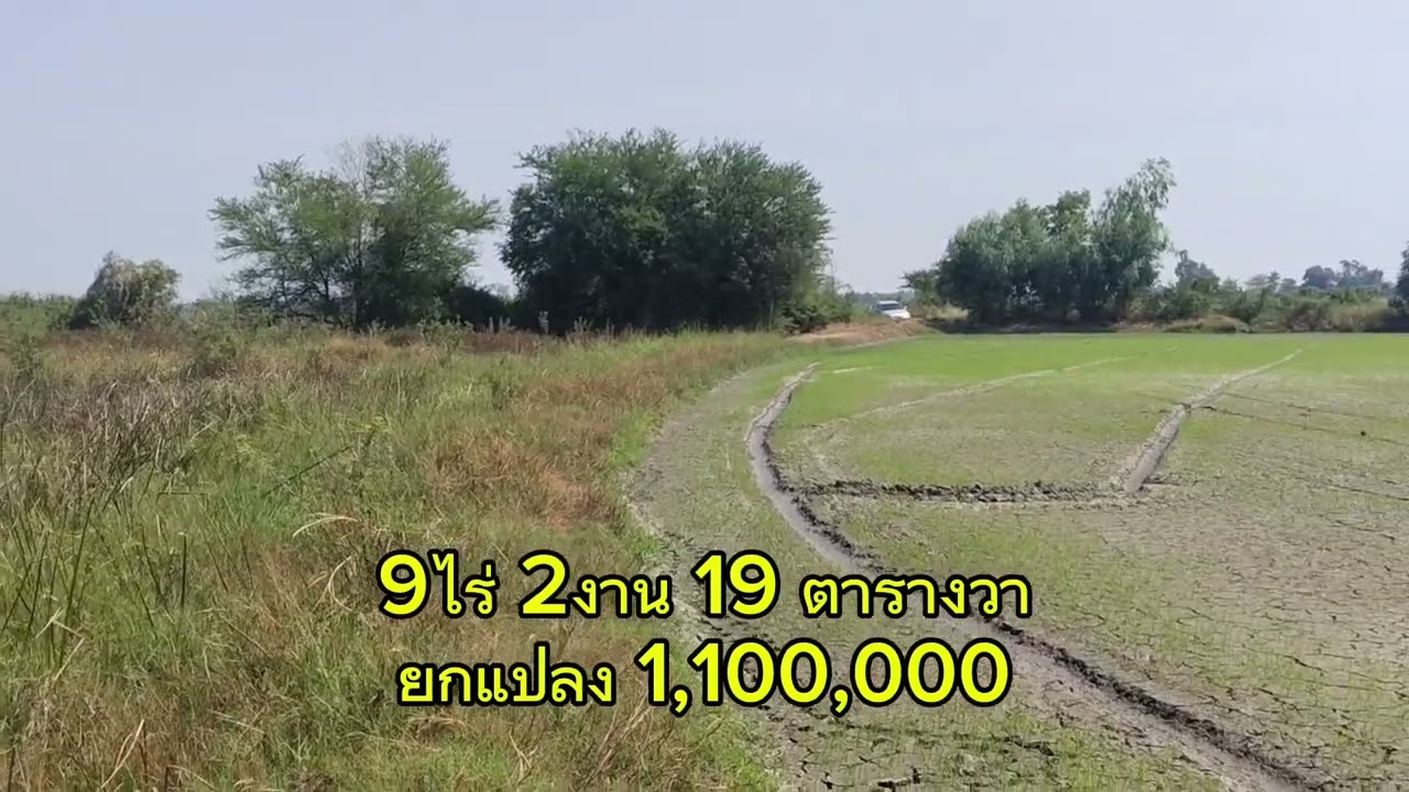 28 มกราคม ค.ศ. 2026
