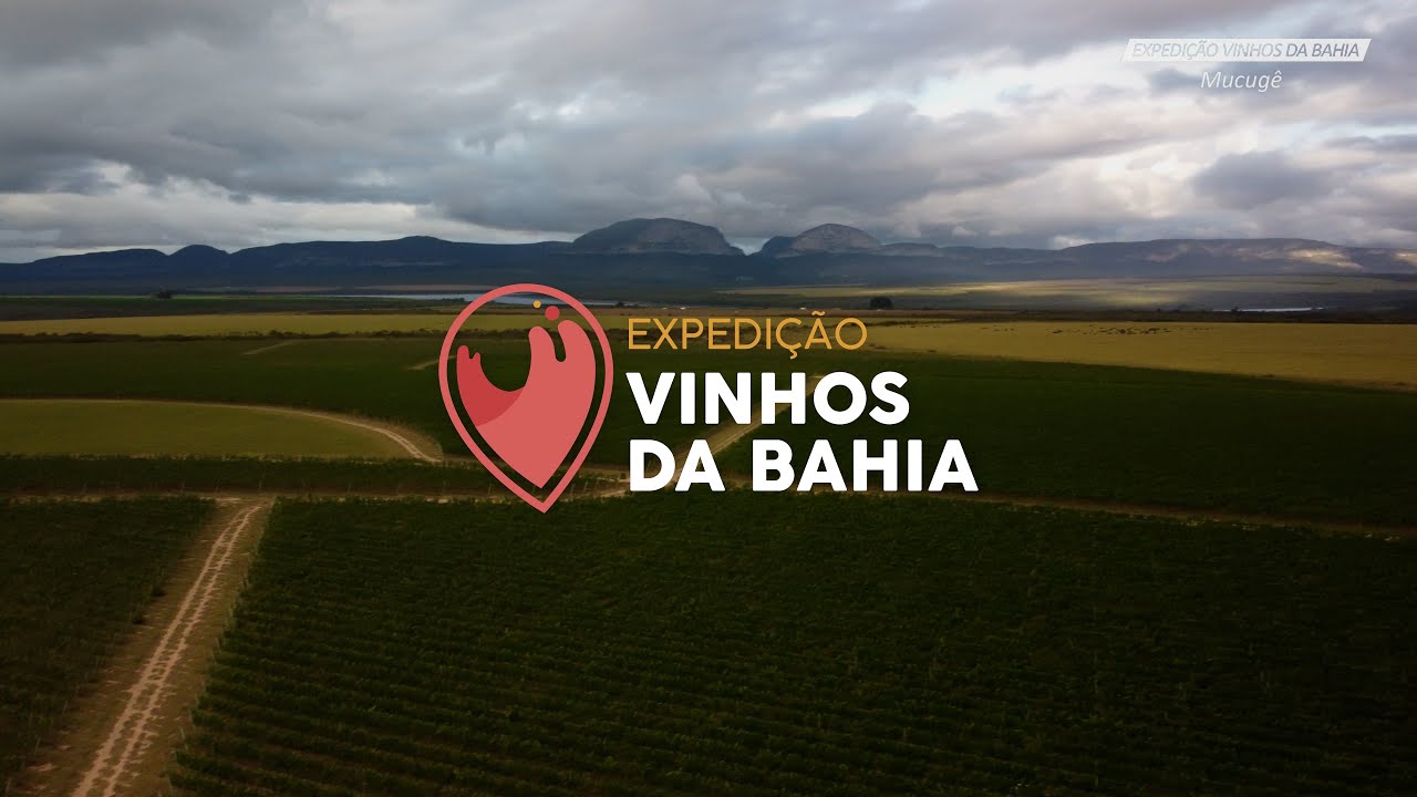 Expedição Vinhos da Bahia - Mucugê