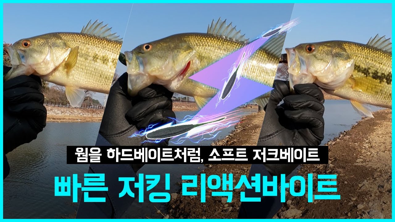 [배스낚시] 소프트 저크베이트 