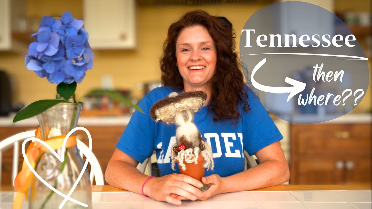 Homestead Festival '23 &  a Travel Announcement!