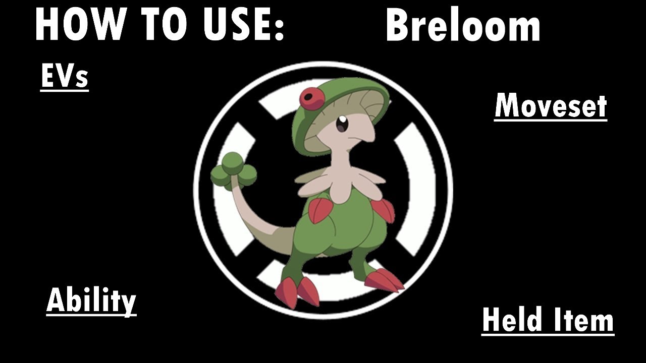 Competitive Guides- How To Use Breloom
